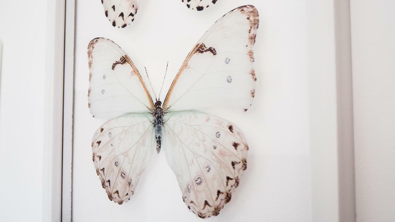 Casa De Mariposas Daire Benalmádena Dış mekan fotoğraf